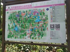 -东平国家森林公园