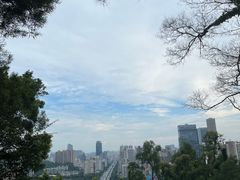 -板樟山森林公园
