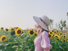 -瑶湖郊野森林公园