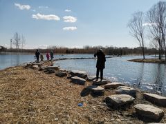 -大兴滨河森林公园