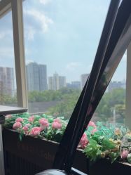 点击看大图 -北京嘉禾医疗