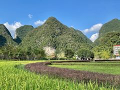 -靖西鹅泉风景区