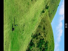 -大姆山草场