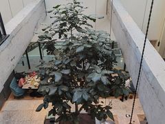 -大树餐厅(红旗街万达店)