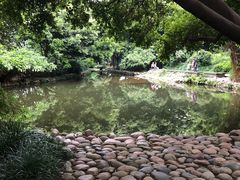 -成都市活水公园