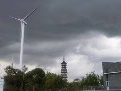 -碧海金沙