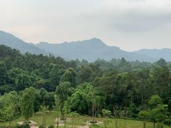 -成都蒲江花样年福朋喜来登度假酒店·宜客乐西餐厅