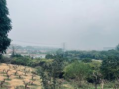 -水濂山森林公园