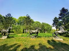 -元大都城垣遗址公园