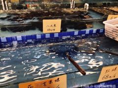 -阿尔法海鲜排档(爱琴海店)