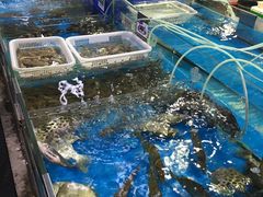 -清水湾3号(东方小周海鲜店)