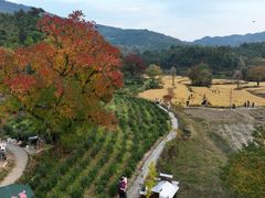 -塔川景区