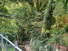 -丽泽山庄·生态怀柔菜·虹鳟鱼(红螺寺店)