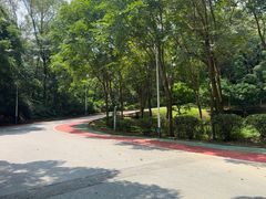 -火炉山森林公园