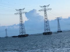 -宝安西湾红树林湿地公园