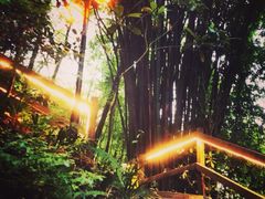 -花水湾第一村温泉大酒店