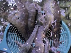 -聚盛源蒸汽海鲜火锅烤肉自助(巨川金海岸购物广场店)