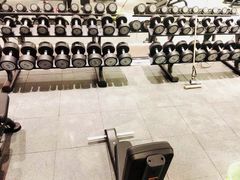 -章鱼健身 Octopus