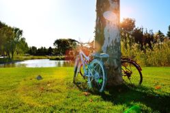 -圣露庄园·草坪婚礼·宴会厅·会议