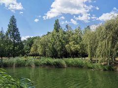 -中关村生命科学园