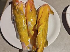 -德得轩烤涮一体自助餐厅(王府井店)