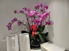 -LANN I 蘭 SPA(陆家嘴中心店)