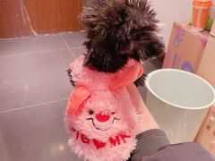 -萌兽医馆·眼科·异宠专科(三里屯店)
