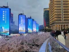 -上海海洋水族馆