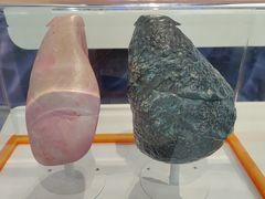 -温州博物馆