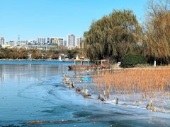 -济南大明湖景区
