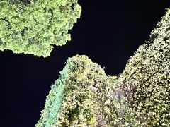 -吴越荣记·苏州菜·松鼠桂鱼(娄门景区店)