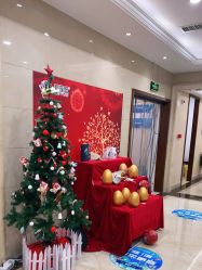 点击看大图 -碧莲盛·不剃发植发