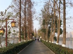 -洋湖国家湿地公园