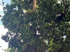 -北海市海滨公园