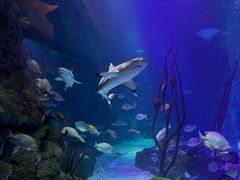 -沈阳海洋探索中心