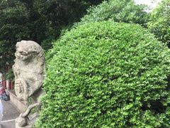 -汇龙潭