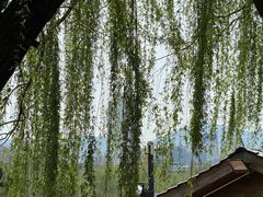 -济南大明湖景区