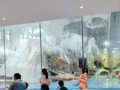 -帝企鹅自助餐厅•儿童岛•真企鹅(长隆企鹅酒店)