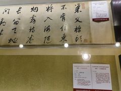 -上海明天广场JW万豪酒店