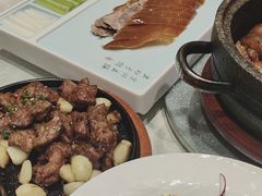 -海派美食·家宴海鲜青岛菜·石锅鲽鱼头(东方城店)