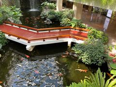-白天鹅宾馆-宏图府餐厅
