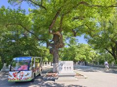 -北陵公园