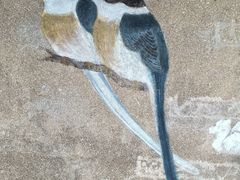 -东钱湖旅游度假区