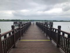 -南湖湿地公园