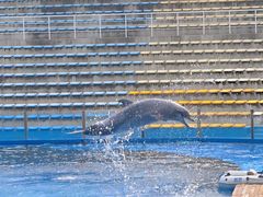 -北戴河圣蓝海洋公园