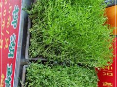 -柳湖茶坊(柳湖店)