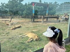 -西霞口神雕山野生动物世界