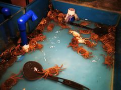-星伦多 自助料理(圆融店)