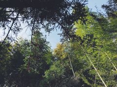 -泽雅景区