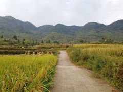 -楠溪江风景名胜区